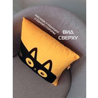 Декоративная подушка Matex Meow. Chubby 62-103 (абрикосовый/черный)
