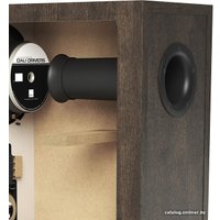 Напольная акустика DALI Opticon 6 MK2 (черный)