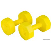 Набор гантелей Atemi AD-02 2x1.5 кг