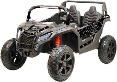 

Электробагги RiverToys M222MM (черный паук)