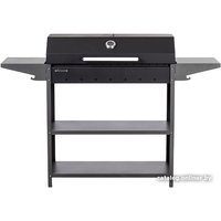 Мангал для дачи Gratar Professional Standart BBQ PSB 3000