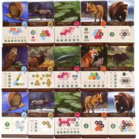 Настольная игра Crowd Games Каскадия. Ориентиры