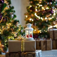 Светильник Neon-Night 513-062