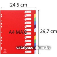 Разделитель документов Exacompta Maxi 4812E (ассорти)