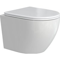 Унитаз подвесной Berges Wasserhaus Okus Rimless + Visam Slim 525 EX-043391 (с сиденьем)