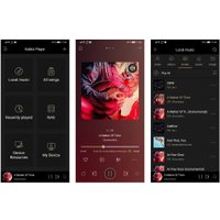 Сетевой проигрыватель Shanling EM5 (серебристый)