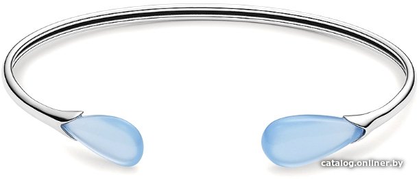 Браслет Skagen SKJ1628040