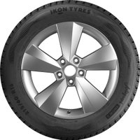 Зимние шины Ikon Tyres Autograph Snow 3 225/55R17 101R