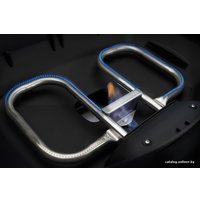 Портативный газовый гриль Napoleon TravelQ-285X в Гомеле