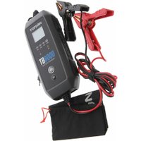 Зарядное устройство Topdon TB8000