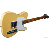 Электрогитара JET JT-300 BTS