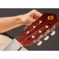 Акустическая гитара ROKSO FT-C-B39-N