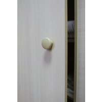 Кровать-чердак Красная звезда Р440 Капризун 5 со шкафом 180x80 (дуб млечный)