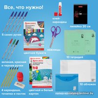 Набор школьника BRAUBERG Универсальный 880123