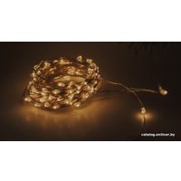 Новогодняя гирлянда Огоньки Диодная нить роса 088/1 100Led (белый теплый)