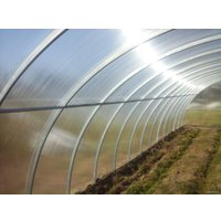 Теплица Завод теплиц Гарант Фермер-4 4 м (4 мм поликарбонат)