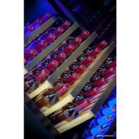 Винный шкаф Cold Vine C110-KBT2