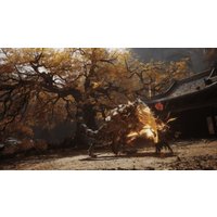  Black Myth: Wukong. Deluxe Edition для PlayStation 5