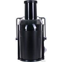 Соковыжималка Scarlett SC-015