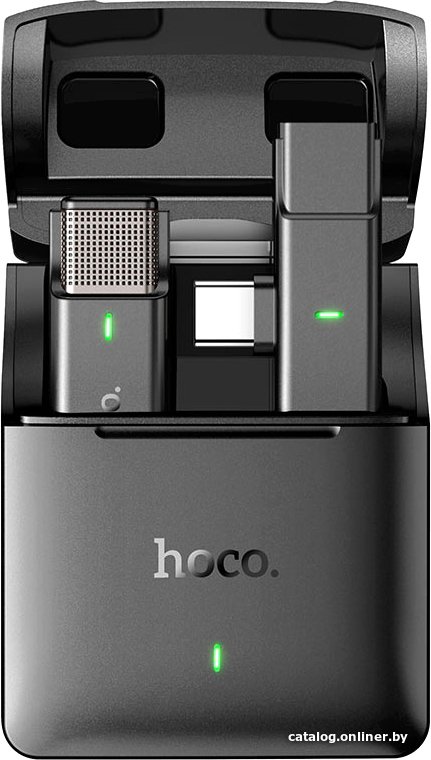 Радиосистема Hoco S31 Stream USB Type-C