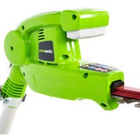 Кусторез Greenworks G24PH51 2300707 (без АКБ)