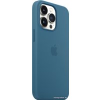 Чехол для телефона Apple MagSafe Silicone Case для iPhone 13 Pro (полярная лазурь)