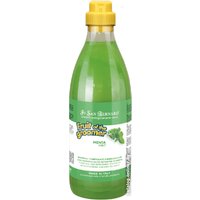 Шампунь Iv San Bernard Fruit Of The Groomer Mint Shampoo (1 л)