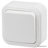 Выключатель Юпитер JP7410-01 (одинарный, белый)