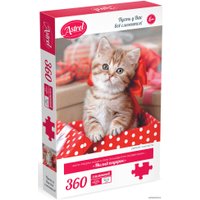 Пазл Origami Game Астрель Милый подарок 06440 (360 эл)