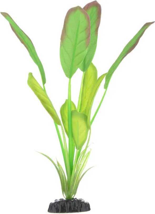 

Искусственное растение Barbus Эхинодорус Блейхери Plant 037/50 (зеленый)
