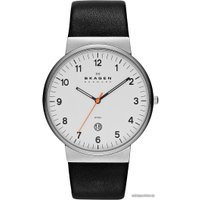 Наручные часы Skagen SKW6024