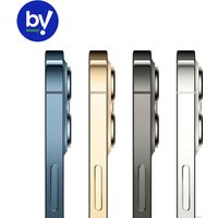 Телефон Apple iPhone 12 Pro Max 256GB Восстановленный by Breezy, грейд B (золотистый)
