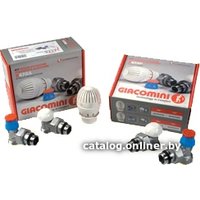 Комплект для подключения Giacomini Комплект термостатический R470FX003