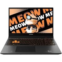 Игровой ноутбук Colorful Evol MEOW R15 A10305000029