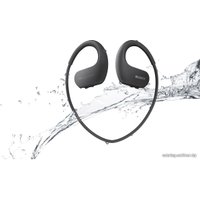 Наушники с плеером Sony NW-WS413 4GB (черный)