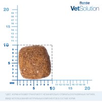 Сухой корм для кошек Monge VetSolution Urinary Struvite (400 г)