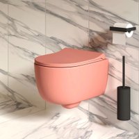 Сиденье для унитаза Ambassador Abner 102T20901S (розовый матовый)