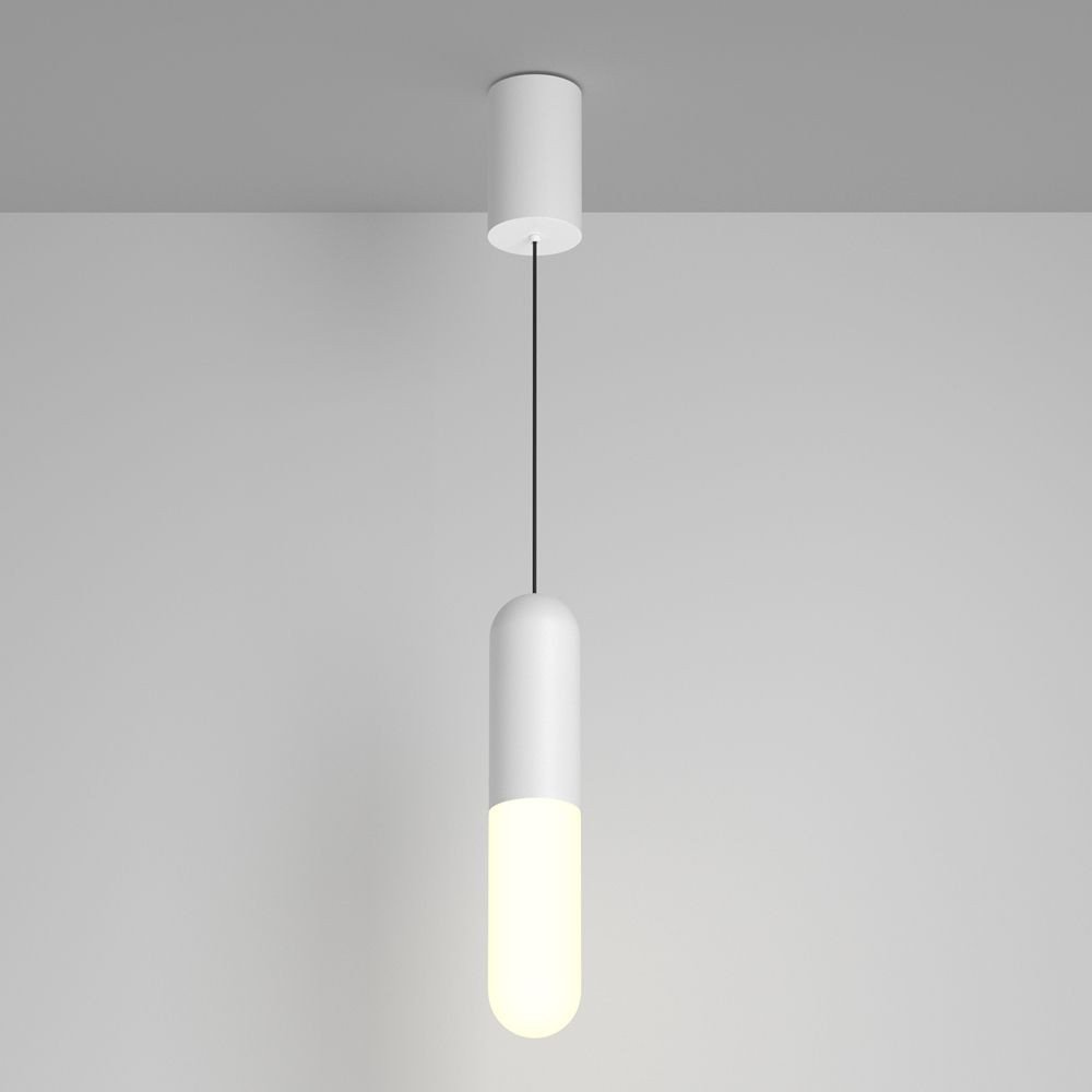 Technical Mist P101PL-L300-12W3K-W