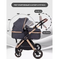 Универсальная коляска Rant Basic Roller Gold RA161 (2 в 1, grey)