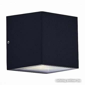 Уличный настенный светильник ST Luce SL9002.401.01