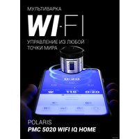 Мультиварка Polaris PMC 5020 Wi-Fi IQ Home (серебристый)