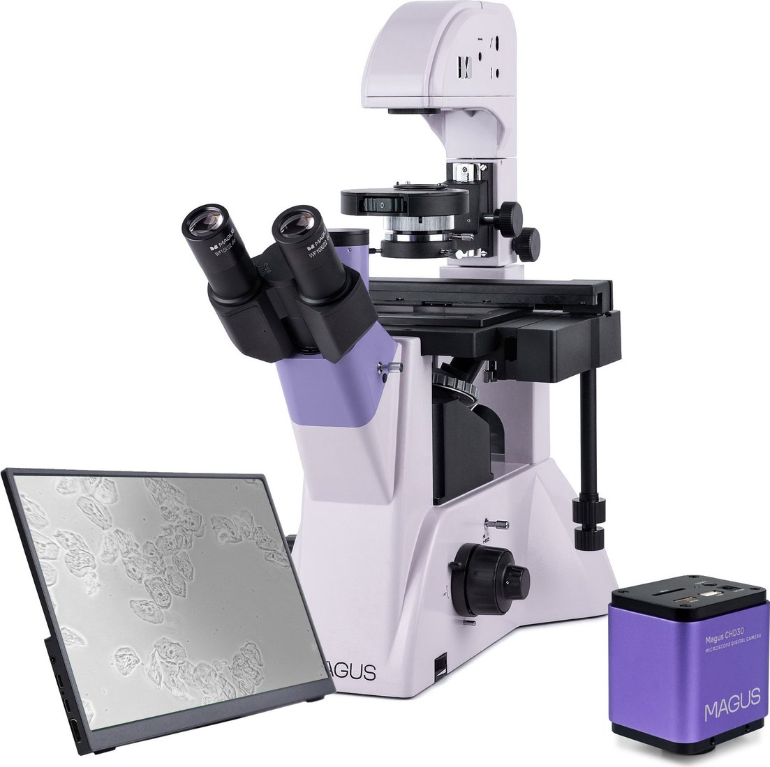 

Микроскоп Magus Bio VD350 LCD 83015