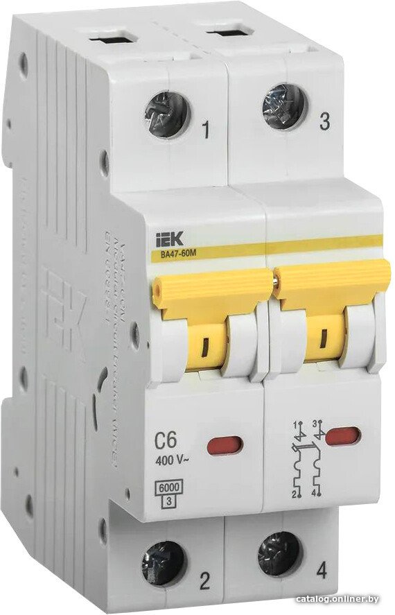 Выключатель автоматический IEK ВА 47-60M 2п 6А C 6кА MVA31-2-006-C