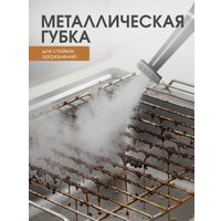 Пароочиститель RAF R.1287