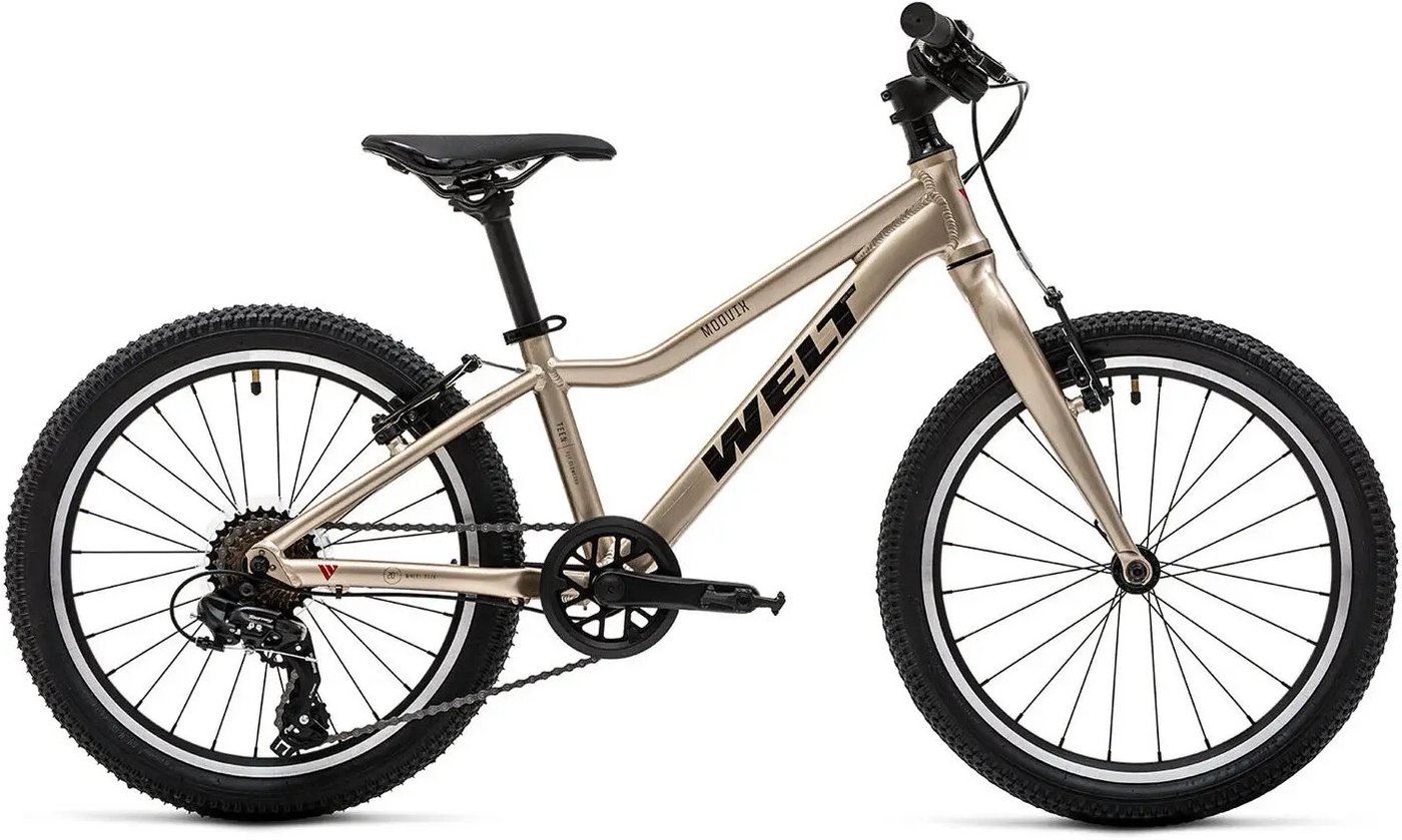 Детский велосипед Welt Moovix 2.0 20 V (wild gold)