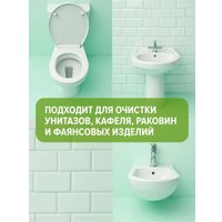 Средство для сантехники FastBuy WC gel Lime (0.75 л)