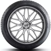 Зимние шины Sunfull Mont-Pro WP882 225/60R18 100H