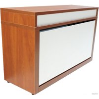 Тумба для обуви Анрат Элана 1к.80 яблоня локарно/белый