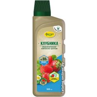 Удобрение Фаско Для Клубники 500 мл