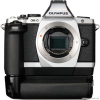 Беззеркальный фотоаппарат Olympus OM-D E-M5 Body